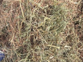 150mt Vetch Hay 650kg 8x4x3 Bales (New Season)