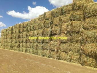 200mt Oaten Hay 550-600kg 8x4x3 Bales (New Season)