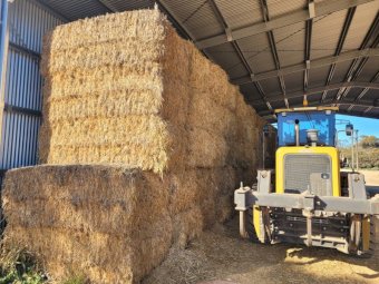 35mt Oaten Hay 700kg 8x4x3 Bales