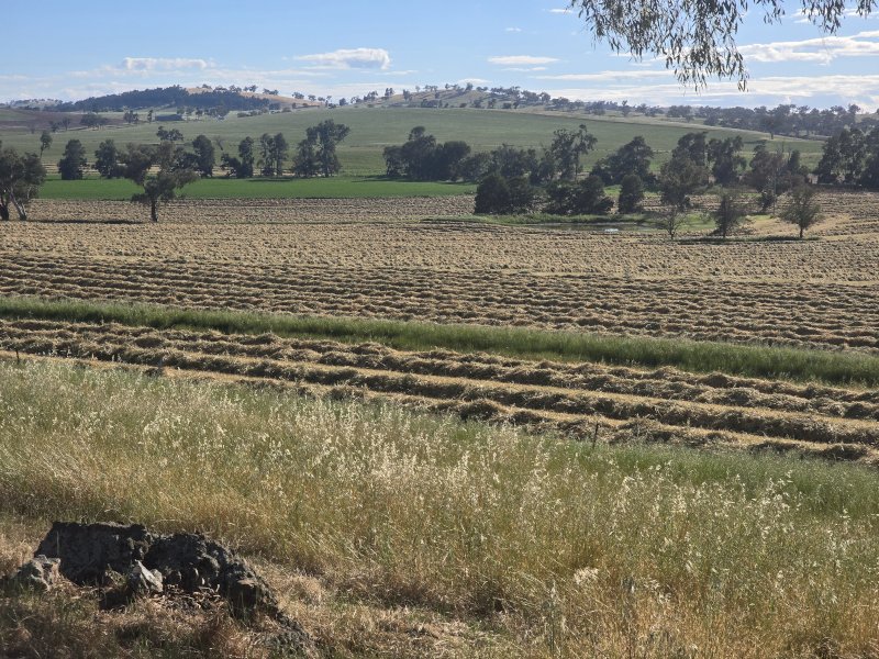 400mt Oaten Hay 550kg 8x4x3 Bales (New Season)