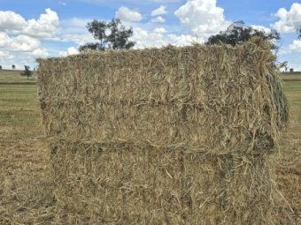 400mt Oaten Hay 550kg 8x4x3 Bales (New Season)