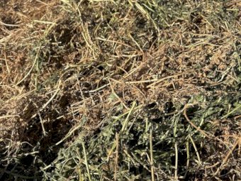 1000mt Vetch Hay  8x4x3 Bales (26/27 Season)