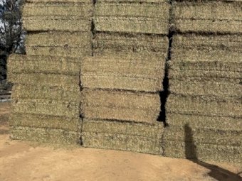 1000mt Vetch Hay  8x4x3 Bales (26/27 Season)