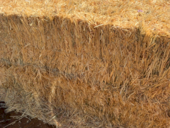 800mt Barley Hay 8x4x3 Bales (New Season)