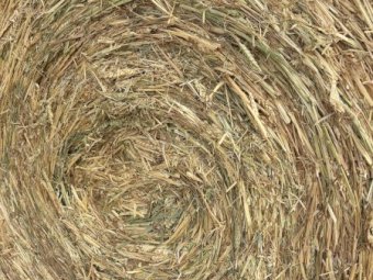 Awnless Wheaten Hay 5x4 Rolls (New Season)