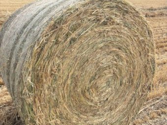 Awnless Wheaten Hay 5x4 Rolls (New Season)
