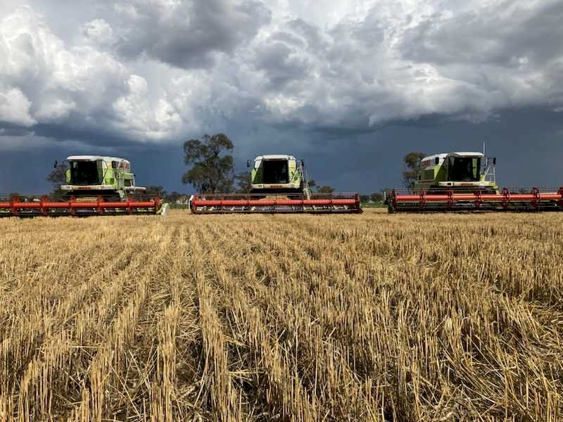 3 X Claas 204 Mega Headers With 30Ft Fronts With Trailers