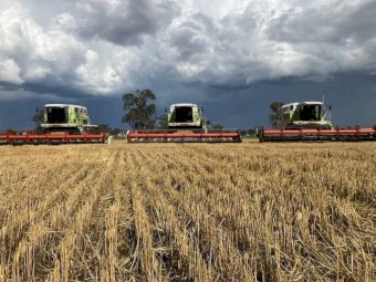 3 X Claas 204 Mega Headers With 30Ft Fronts With Trailers