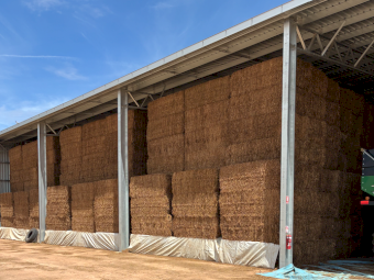 500mt Vetch Hay 550kg 8x4x3 Bales (New Season)