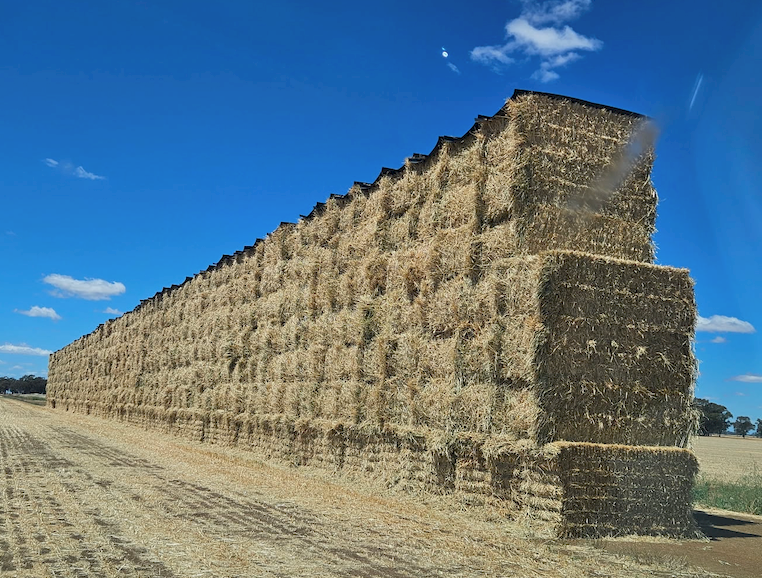 600mt Barley Mix Hay 600kg 8x4x3 Bales