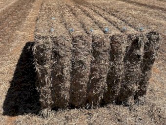 500m/t Vetch Hay 650kg 8x4x3 Bales (New Season)