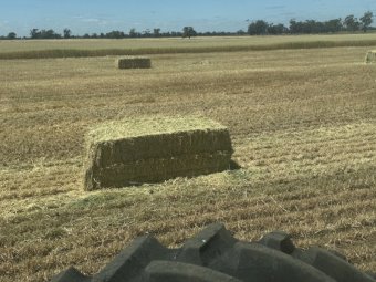 500 mt Oaten Hay 8x4x3 (26/27 Season)