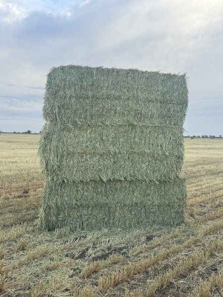 500 mt Wheaten Hay 8x4x3 Bales (26/27 Season)