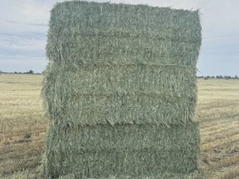 500 mt Wheaten Hay 8x4x3 Bales (26/27 Season)