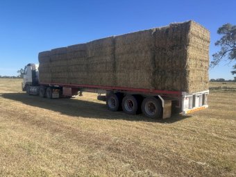 120mt Vetch Hay 600kg 8x4x3 Bales (New Season)
