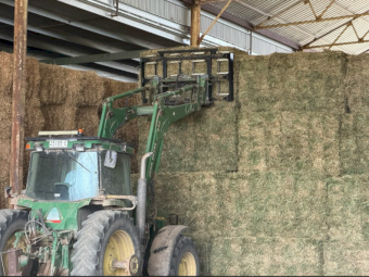 1st Cut Lucerne Hay in Bale Baron Packs