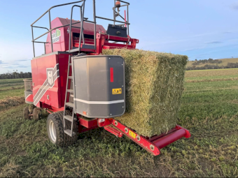 1st Cut Lucerne Hay in Bale Baron Packs