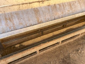 2 X 8MT Sheep Feeders