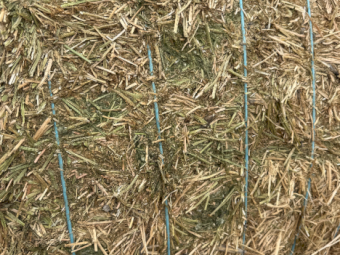 1200mt Vetch Hay 8x4x3 Bales (New Season)