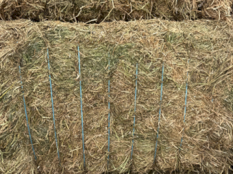 1200mt Vetch Hay 8x4x3 Bales (New Season)