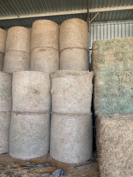 63 x Lucerne Hay A Grade Quality Round Bales