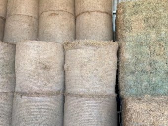 63 x Lucerne Hay A Grade Quality Round Bales