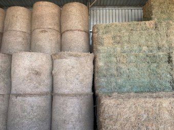 63 x Lucerne Hay A Grade Quality Round Bales