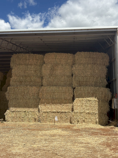 Oaten hay