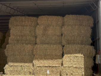 Oaten hay