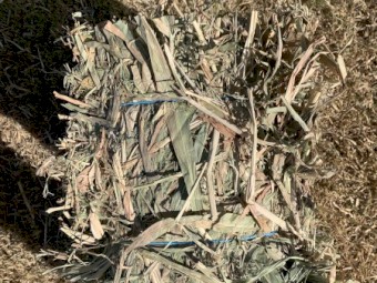 Lab Lab Cowpea Millett Sorghum Mix Hay Small Squares