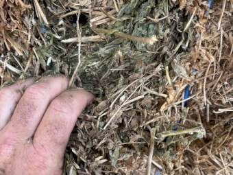 80mt Vetch Hay 650kg 8x4x3 Bales
