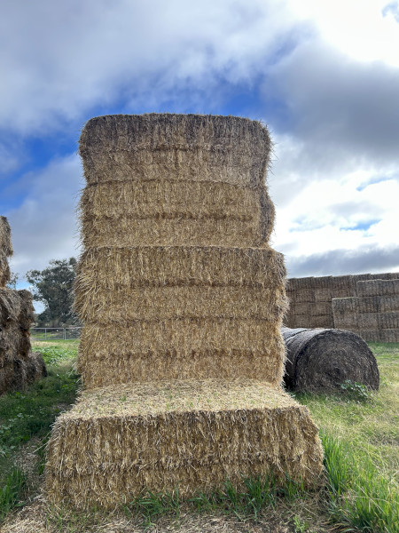 400mt Barley Straw 420kg 8x4x3 Bales