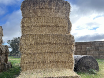 400mt Barley Straw 420kg 8x4x3 Bales