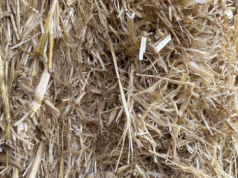 400mt Barley Straw 420kg 8x4x3 Bales