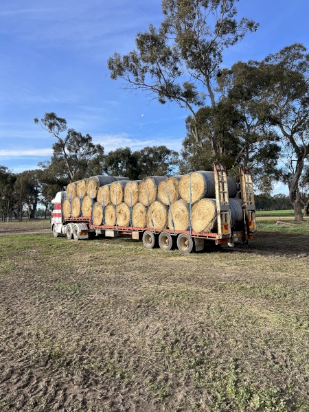 150 x Ryegrass Hay 5x4 Rolls