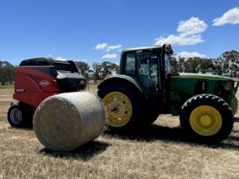 150 x Ryegrass Hay 5x4 Rolls