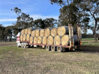 150 x Ryegrass Hay 5x4 Rolls