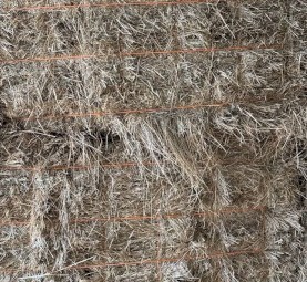 Pasture Hay