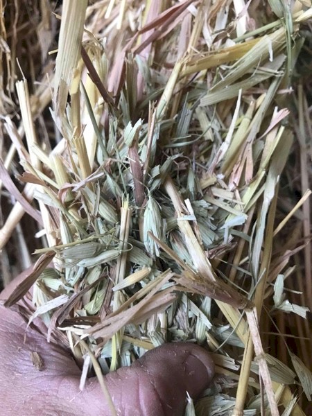 Oaten Hay 8x4x3 Bales