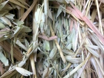Oaten Hay 8x4x3 Bales