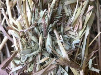 Oaten Hay 8x4x3 Bales