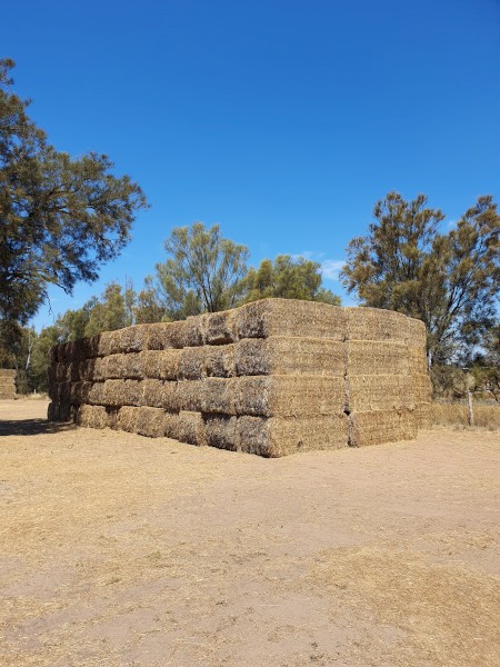 Hay for sale