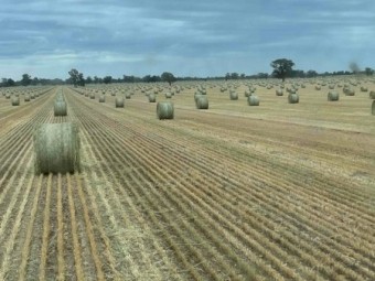Oaten Hay 480kg 5x4 Rolls