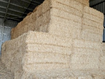 Oaten Hay