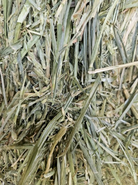 Wheaten Hay 675kg 8x4x3 Bales