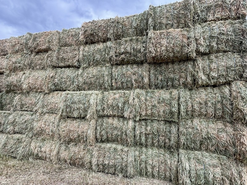 250mt Oaten Hay 640kg 8x4x3 Bales