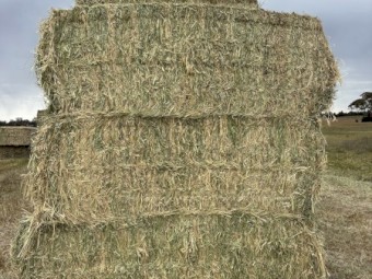 250mt Oaten Hay 640kg 8x4x3 Bales