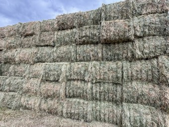 250mt Oaten Hay 640kg 8x4x3 Bales