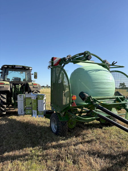Canola/Rye/Clover Silage 