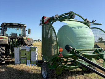 Canola/Rye/Clover Silage 